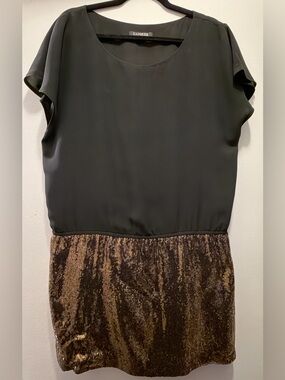 Express Drop Waist Black Dress With Sequins